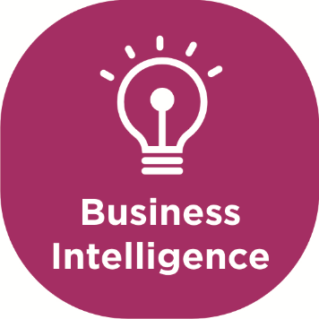 Business Intelligence